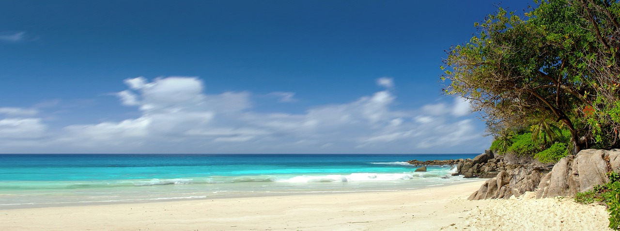 découvrez la blue ocean strategy, une méthode innovante pour créer de nouveaux marchés et s’affranchir de la concurrence. apprenez à développer des stratégies gagnantes en transformant la concurrence en opportunité de croissance.